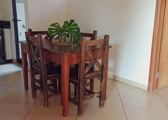 Casa Timbo: Un Abrazo Al Descanso