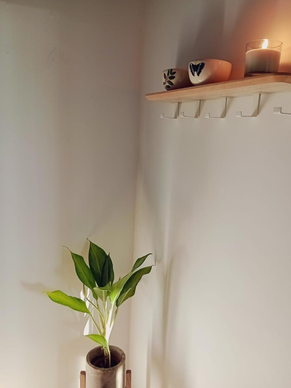 Casa Timbo: Un Abrazo Al Descanso *